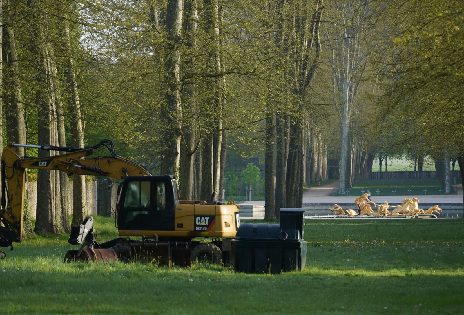 Chat, char, show - Domaine de Versailles : Un jour, une photo, un