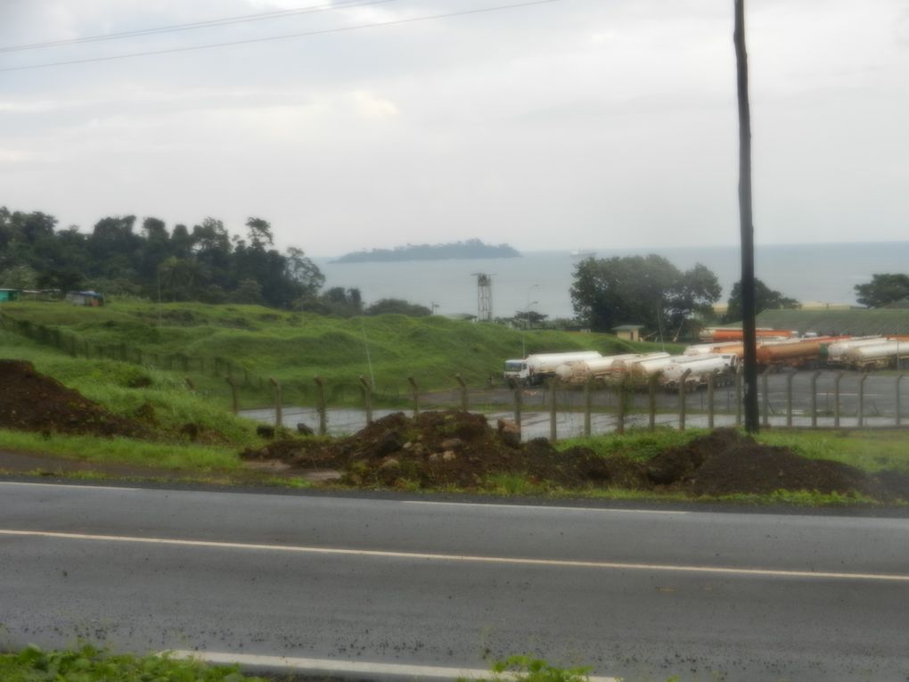 Limbé et ses plages, son parc botanique, son centre de la faune, son activité. Buea base pour le Mont Cameroun et le pont M'Fundi base pour le Nigeria