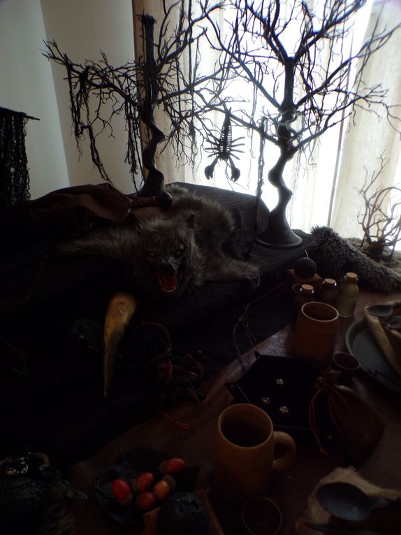 Le sorceleur ( The witcher)   Rencontre avec Geralt de Riv    . volet 1