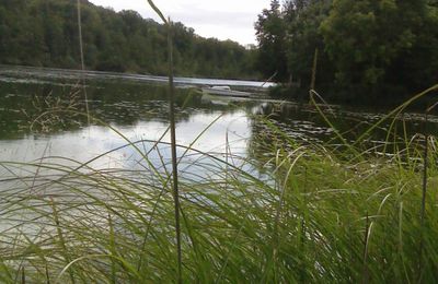 L'étang de Chalou-Moulineux