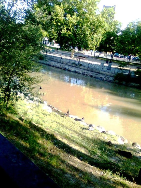 Album - Paseo-del-Canal--Zaragoza-