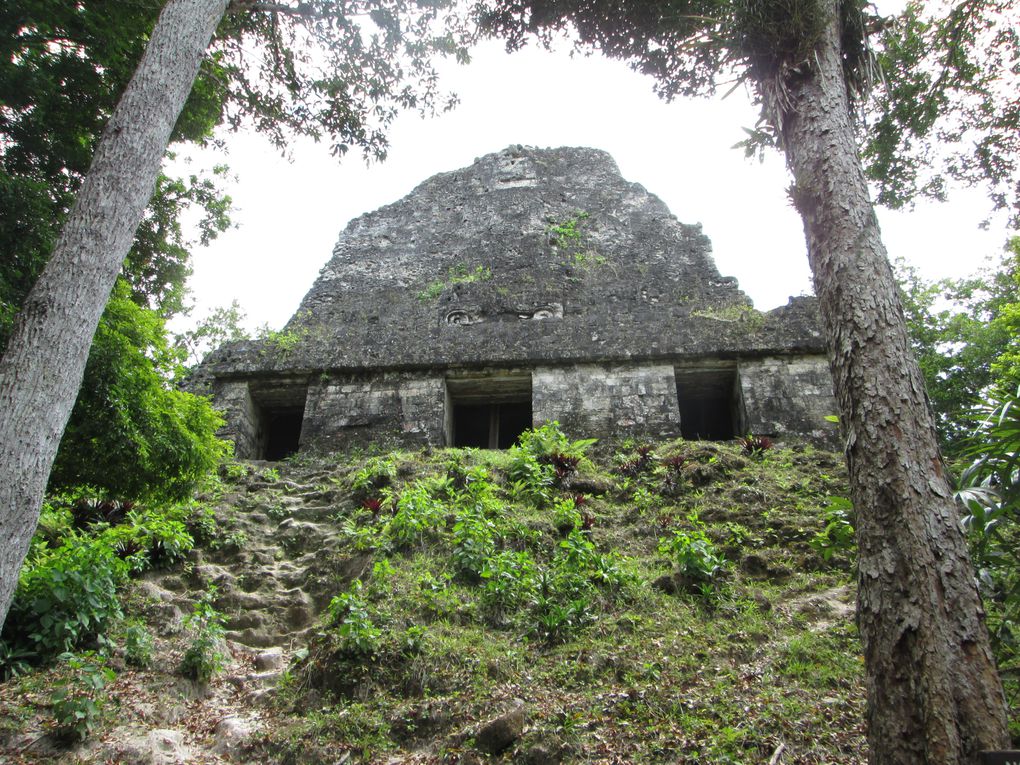 Album - coban-flores-tikal