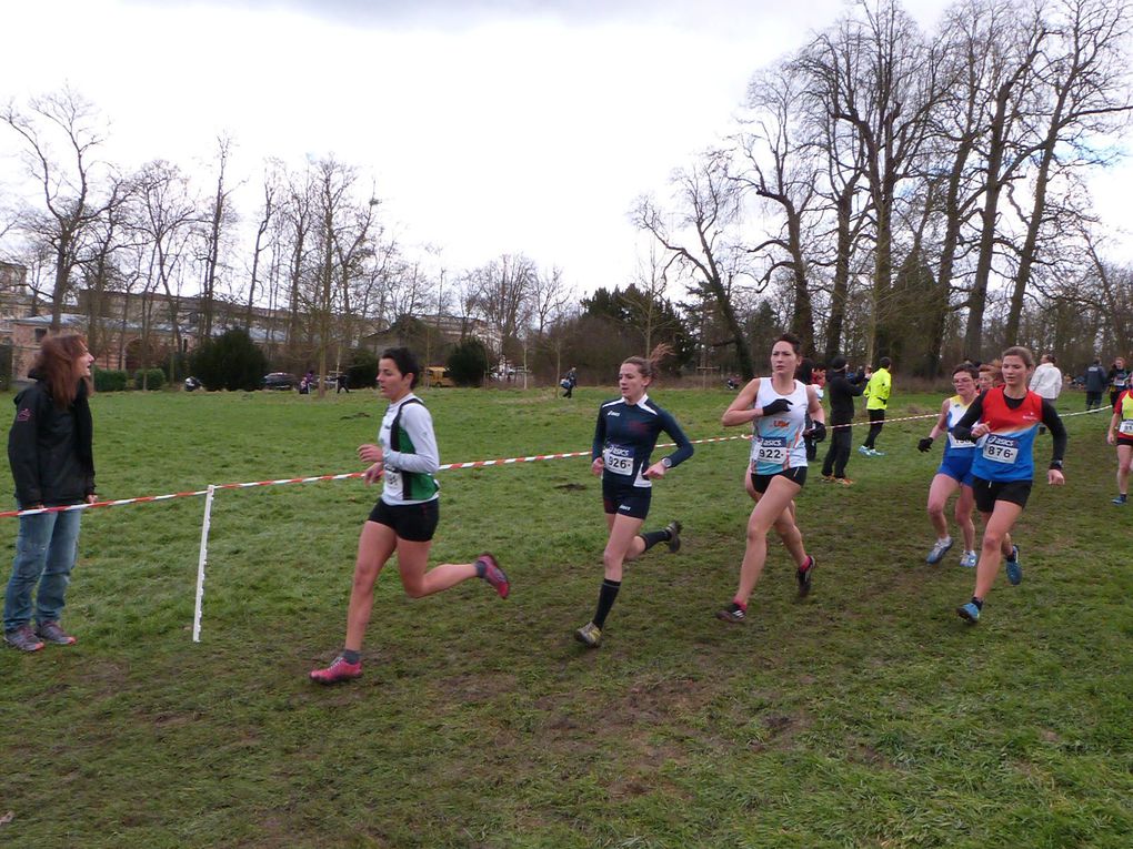 Championnats départementaux de cross, Noisiel, le 11/01/2105