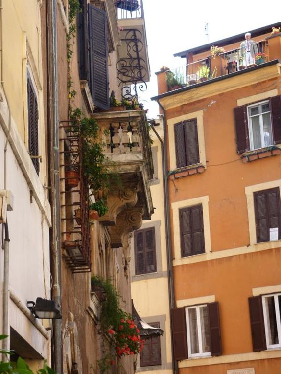 Ce Pèlerinage à Rome a été un moment de prière durand l'année sacerdotale. Il nous a permis de vivre autrement qu'au séminaire, ensemble. Il a été un moment de découverte pour les uns et de redécouverte pour les autres.
Sebastien Séminar