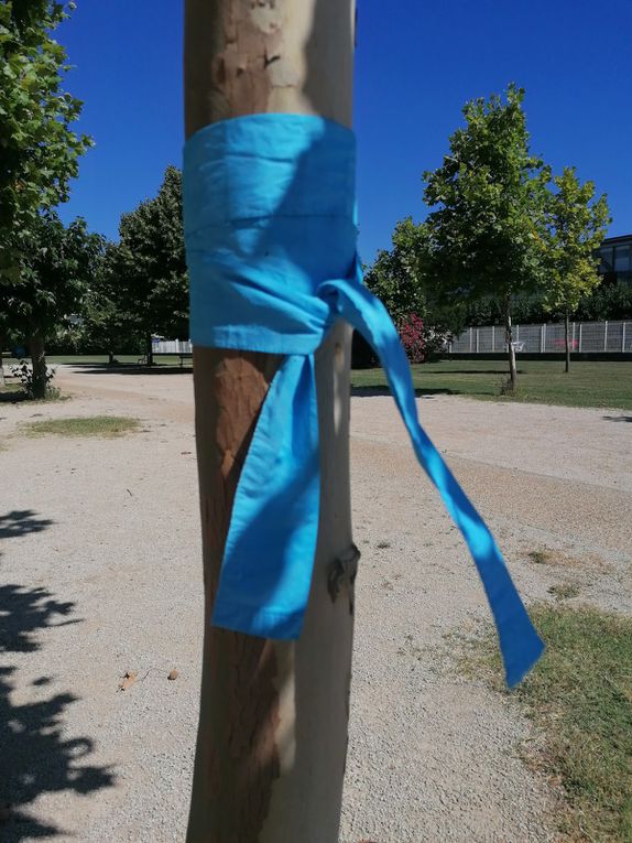 Les voeux bleus: installation d'une quarantaine de voeux sur les arbres du Parc 