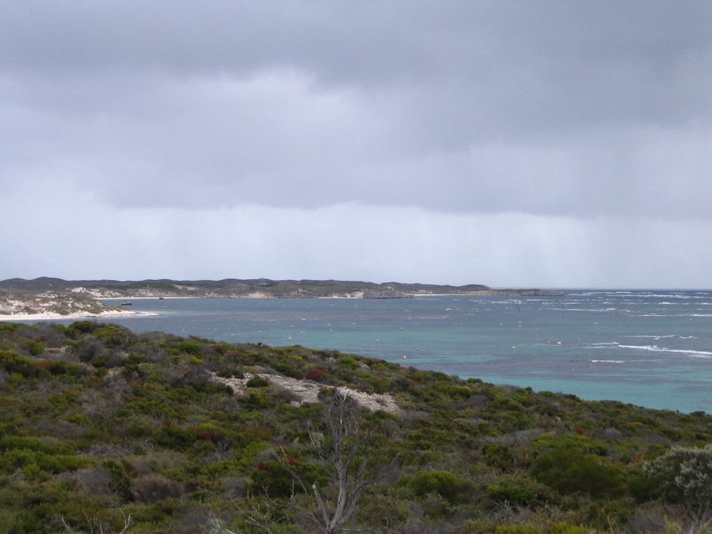 Album - Rottnest-Island