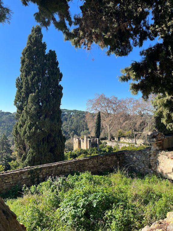 Quelques photos qui sont lointaines de rendre justice à la beautée des lieux