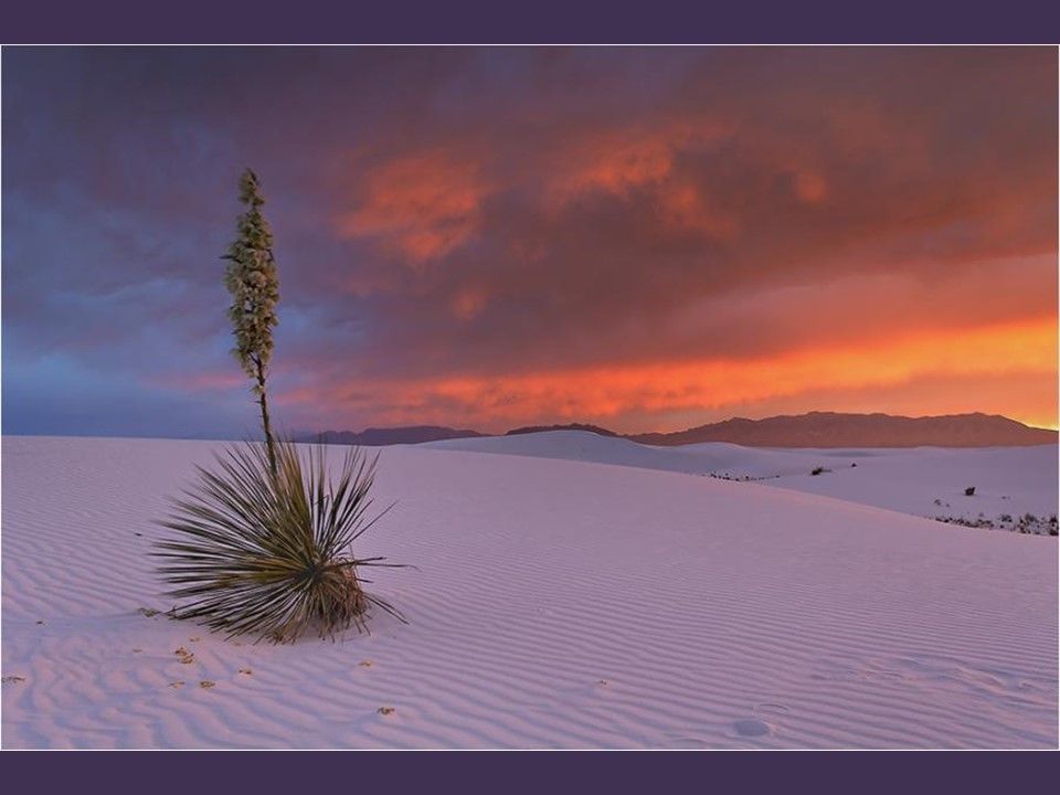 Le Désert - Images de toutes beauté