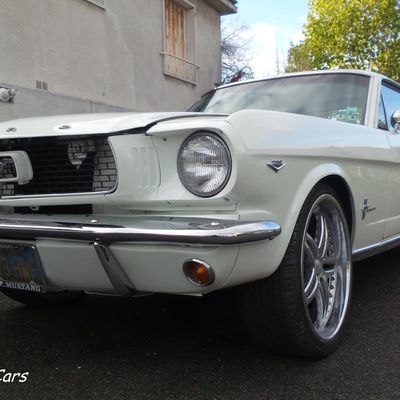 Un Mustang racé