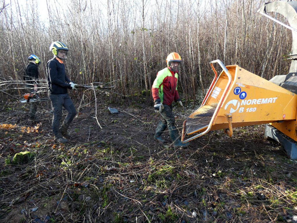 Débroussaillage au verger