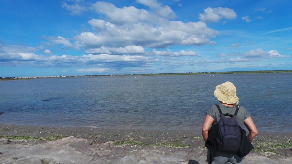Deux jours en Camargue avec Nicole!