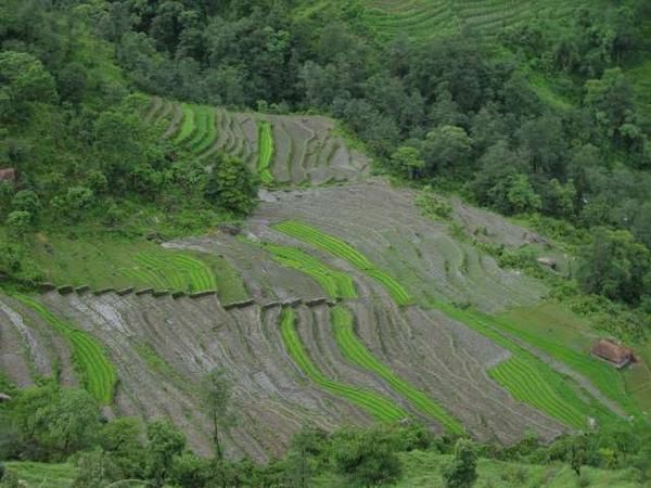 Album - Nepal-et-Trek