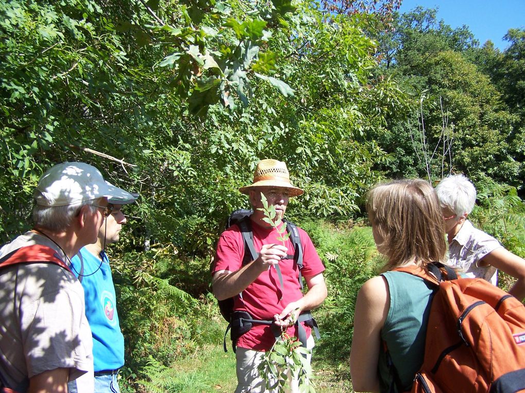 Quelques adhérents nous proposent des balades:avec Jean-Michel Gaudron, naturaliste, des balades découverte, avec Laurent Huchot des marches plus sportives, Christine Ducoux, Quince Graveson, Marie-Ange Dreyer, balade et patrimoine... presque tous