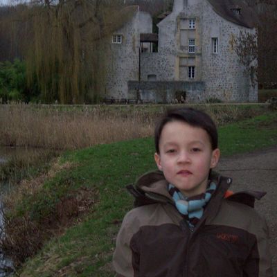 LA FORET