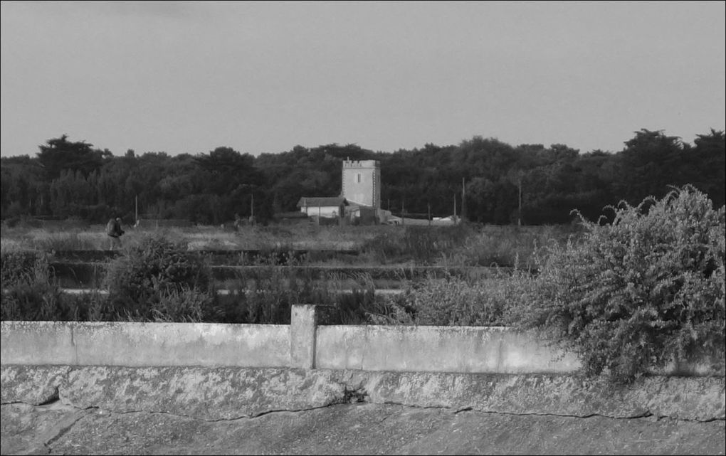 Rando Loix à Saint-Matin-de-Ré (Charente-Maritime 17) AA