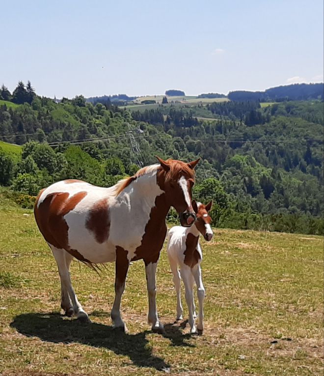 JEUDI 28 MAI ; 1er groupe ;