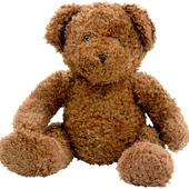 Teddy bear PNG