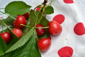 Clafoutis aux cerises et pistache