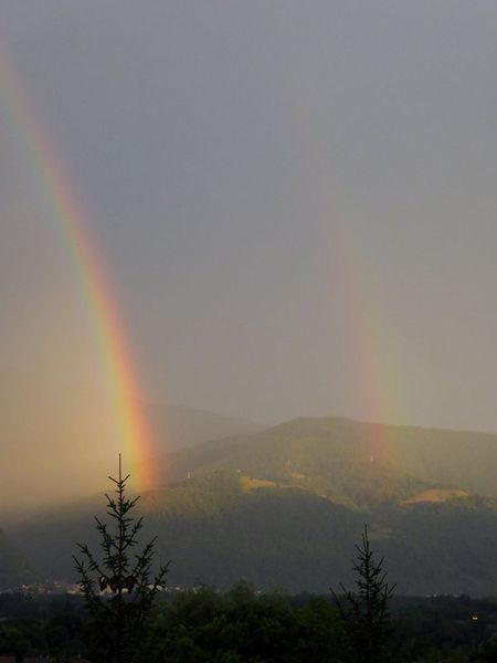 Après la pluie......