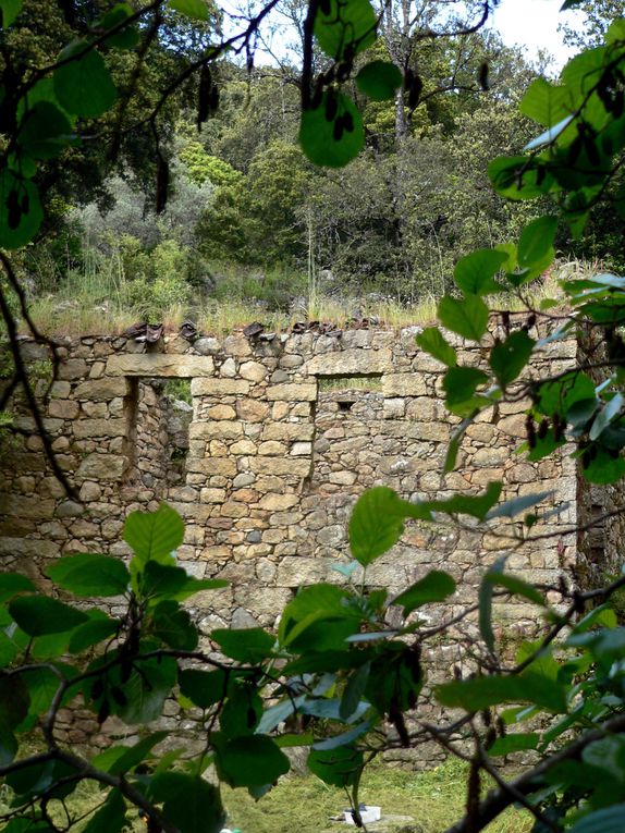 Des coins de la corse du sud