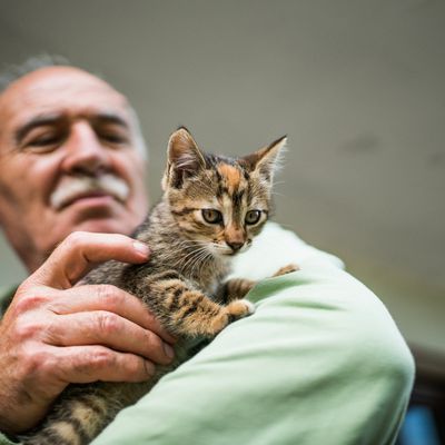 Le gouvernement se dit favorable à l’accueil des animaux dans les Ehpad