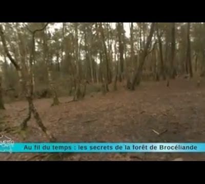 Reportage région : direction la forêt de Brocéliande
