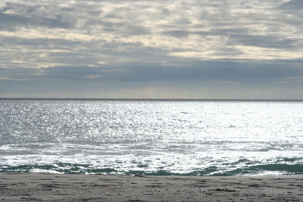 Les photos du mois de Décembre 2009, surtout des plages ...
En bonus, j'en ai rajouté d'autres prises en aout et juillet que je n'avais pas eu le temps de mettre en ligne ... Amusez vous à trouver lesquelles ...