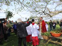 24 mars : Dimanche des Rameaux et de la Passion