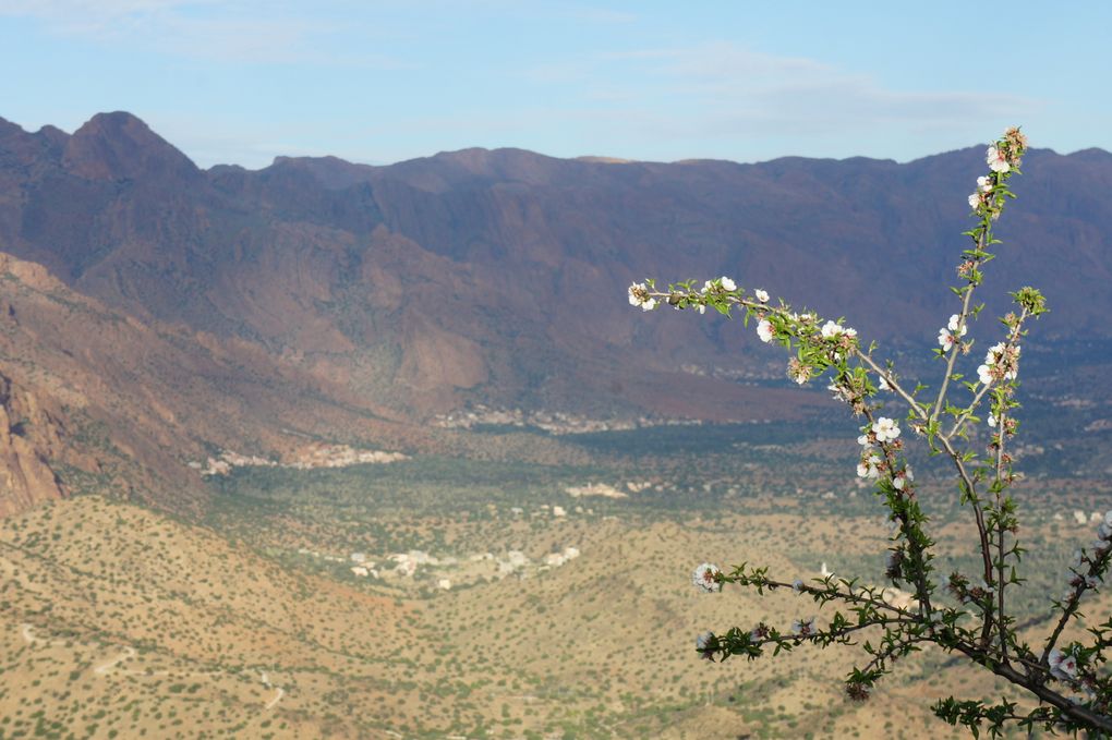 Trekking au Maroc : Tafraoute et le sang du dragon !