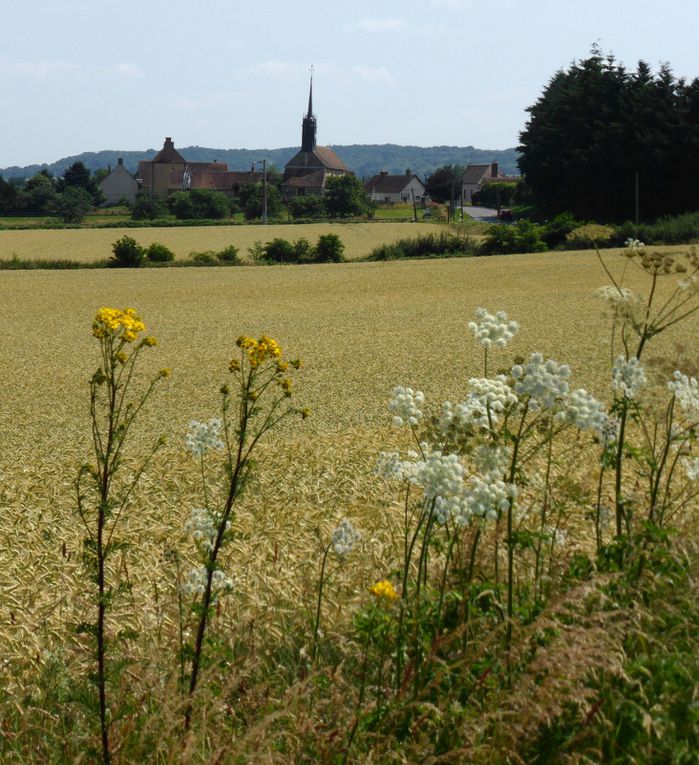 Album - vosges-et-Jura-2013