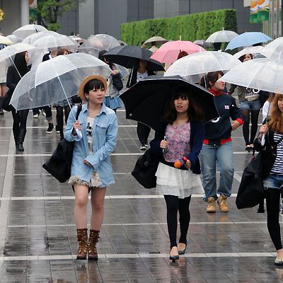 Les parapluies transparents de Tokyo