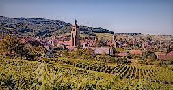 #Vin de Paille Producers Jura Region France