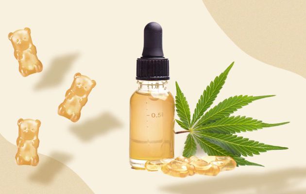 CBD Business Ideas: Highly effective Methods For Newcomers