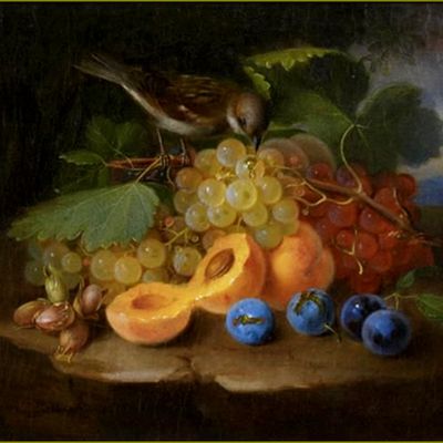 Fruits d'été par les peintres -  George E. Forster (1817-1896) fruits d'été