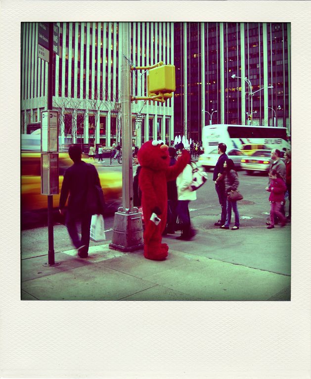 Album - NEW-YORK-POLA