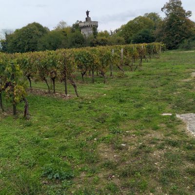 En passant par la Vendée et les Charentes avec ses sabots !15