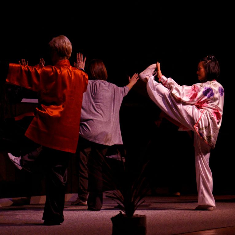 Album - Gala-Arts-martiaux-Tatami-et-Zenitude-2013