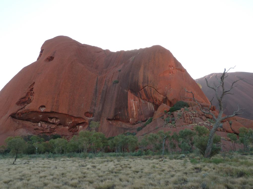 Album - 41 Uluru und die Olgas