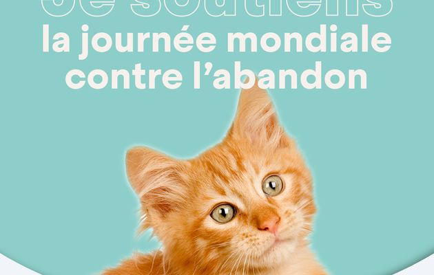 Journée mondiale contre l'abandon des animaux de compagnie
