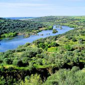 Guadiana