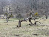 La ferme des Résistants à Curienne