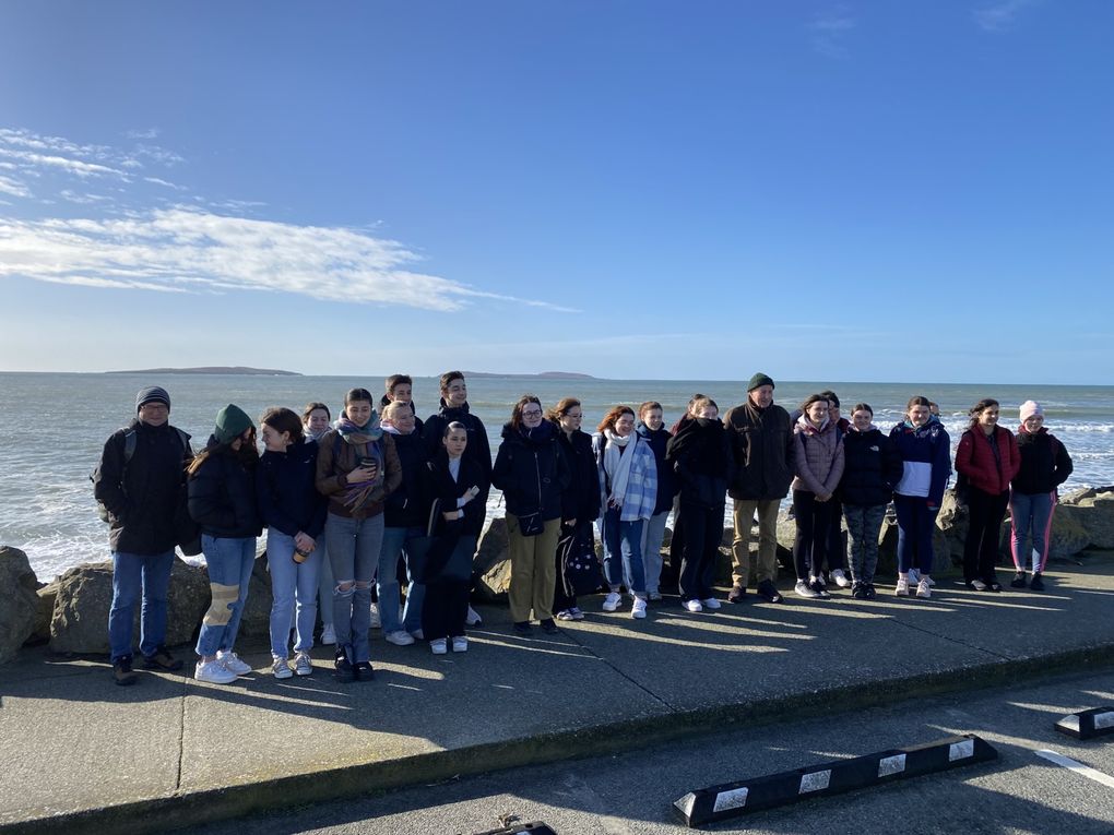 IR23 South Wexford Coast A Natural Heritage Coastline