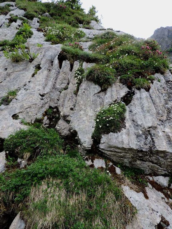 Visite des rochers calcaires