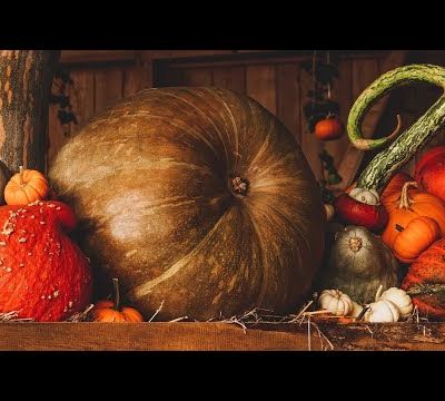 Prédictions pour la rentrée et pour cette automne - 24/08/2023.