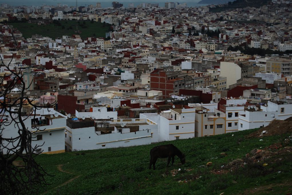 Tanger grandit de façon spectaculaire. Là voilà, regarder là depuis la colline de Sidi Bouhaja marabaout situé à Bir Chifa haut lieu de l'exode rurale et de tout l'arrière pays de cette ville.