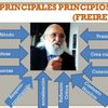 PRINCIPALES PRINCIPIOS ( FREIRE)