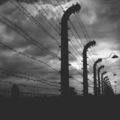 Cérémonie officielle à Auschwitz-Birkenau : émission spéciale sur France 2. - LeBlogTvNews