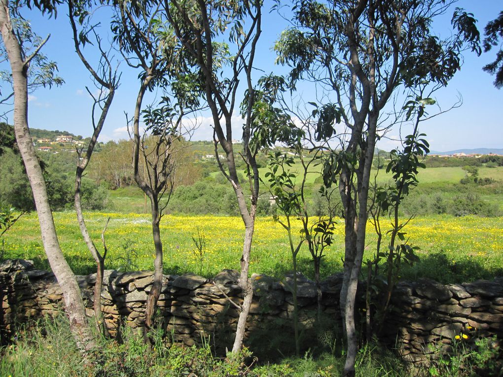 de Palau à Dorgali