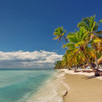 Ombres secrètes entre la Presqu'Île de Crozon et la Martinique, Photos Martinique