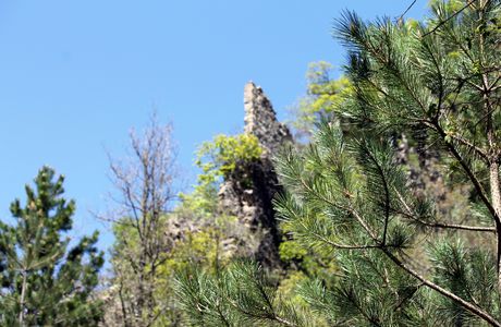 L'éternité de la jeunesse